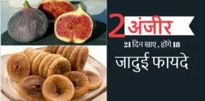 अंजीर